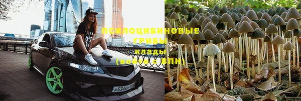 твердый Алексеевка
