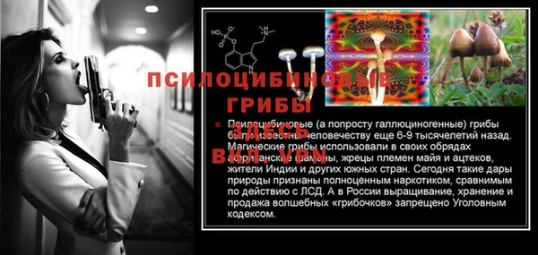 твердый Алексеевка