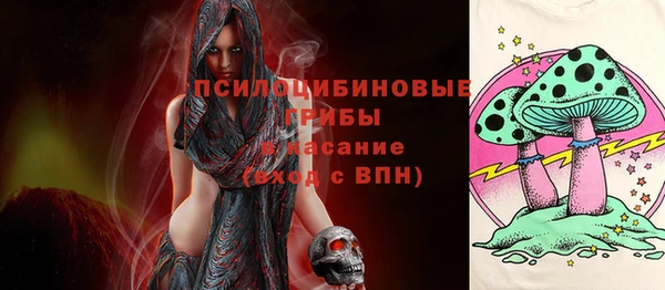 тгк Алексин
