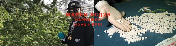 тгк Алексин