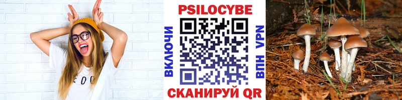 Купить  Джанкой  Галлюциногенные грибы Cubensis 